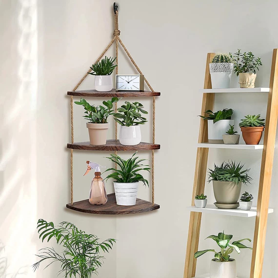 Corner shelves styled with small potted plants