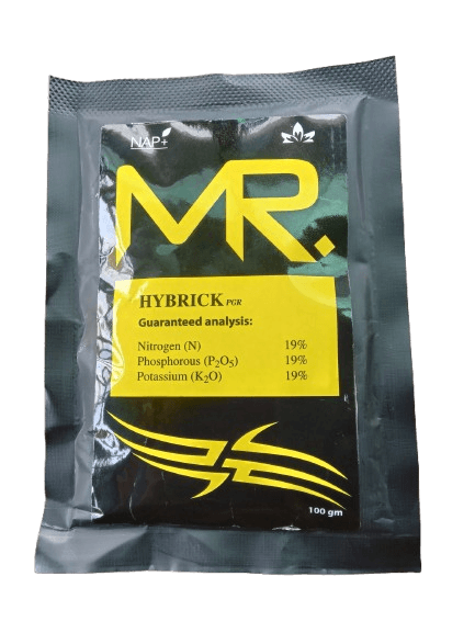 Mr. Hybrick 