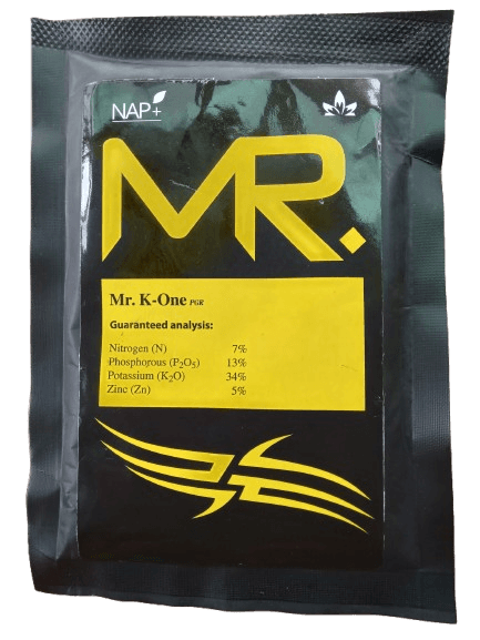 Mr. K-one