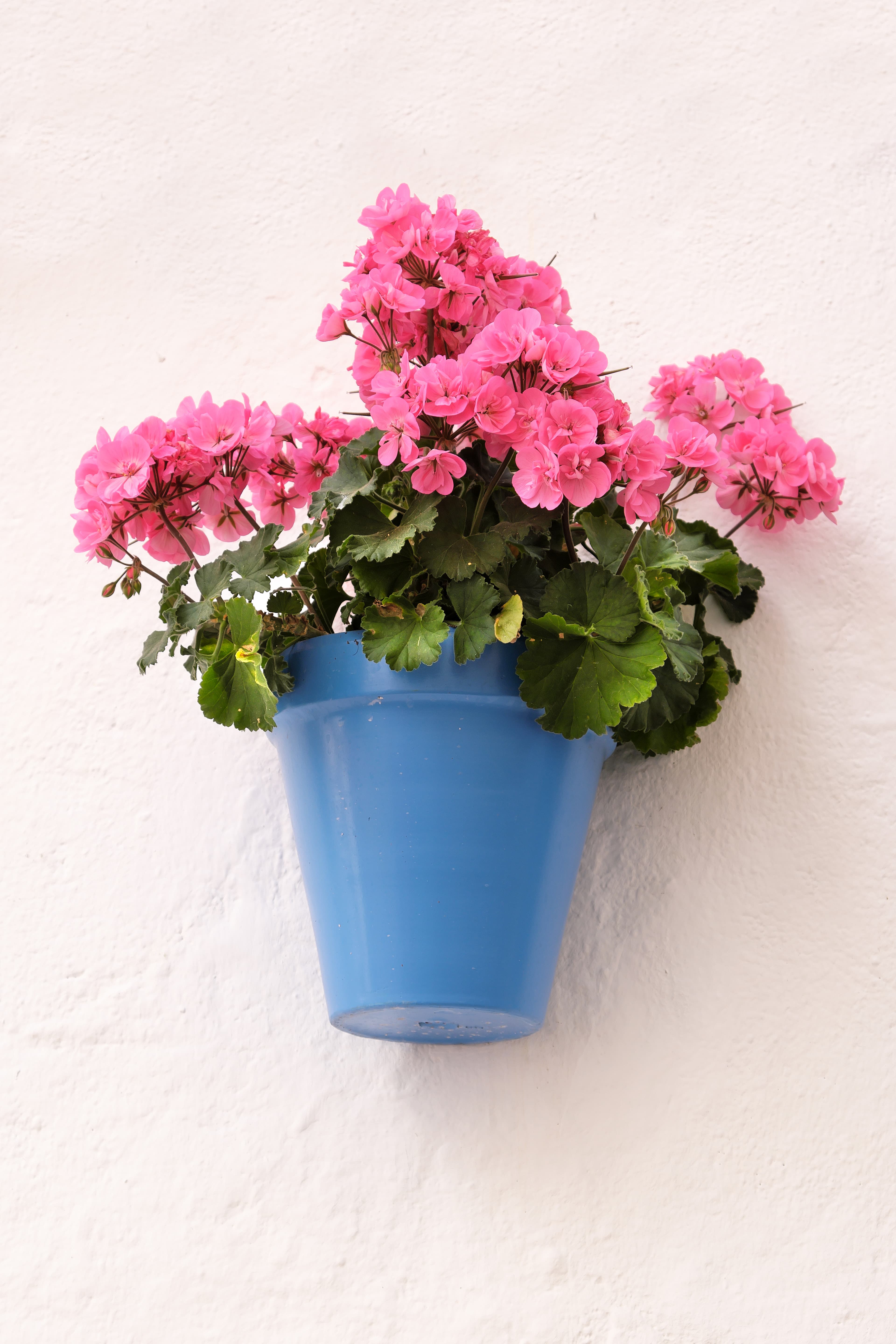 Pots and Planters